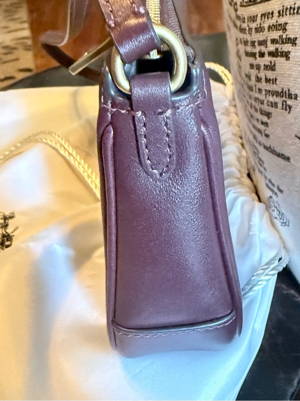 Coach Plaza 22 Full Grain Leather Shoulder Bag, Gold Hardware - Picture 6 of 11